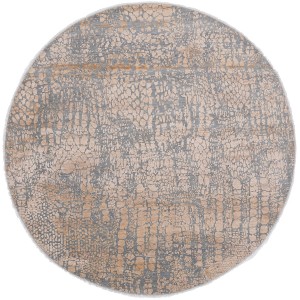 47252 Contemporary Indian 